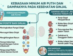 1. Kebiasaan Minum Air Putih dan Dampaknya pada Kesehatan Ginjal